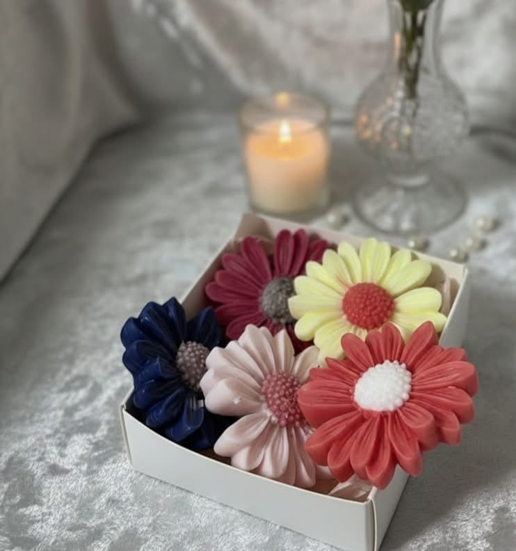 Scented wax melts