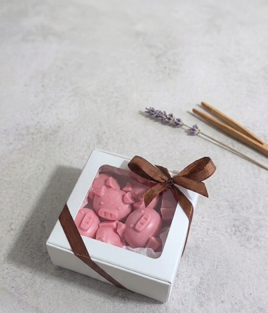 Handcrafted Piglet Wax Melts — 100g
