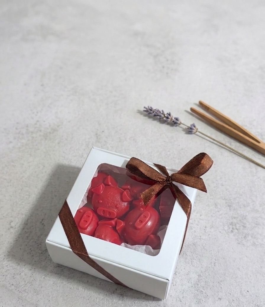 Handcrafted Piglet Wax Melts — 100g