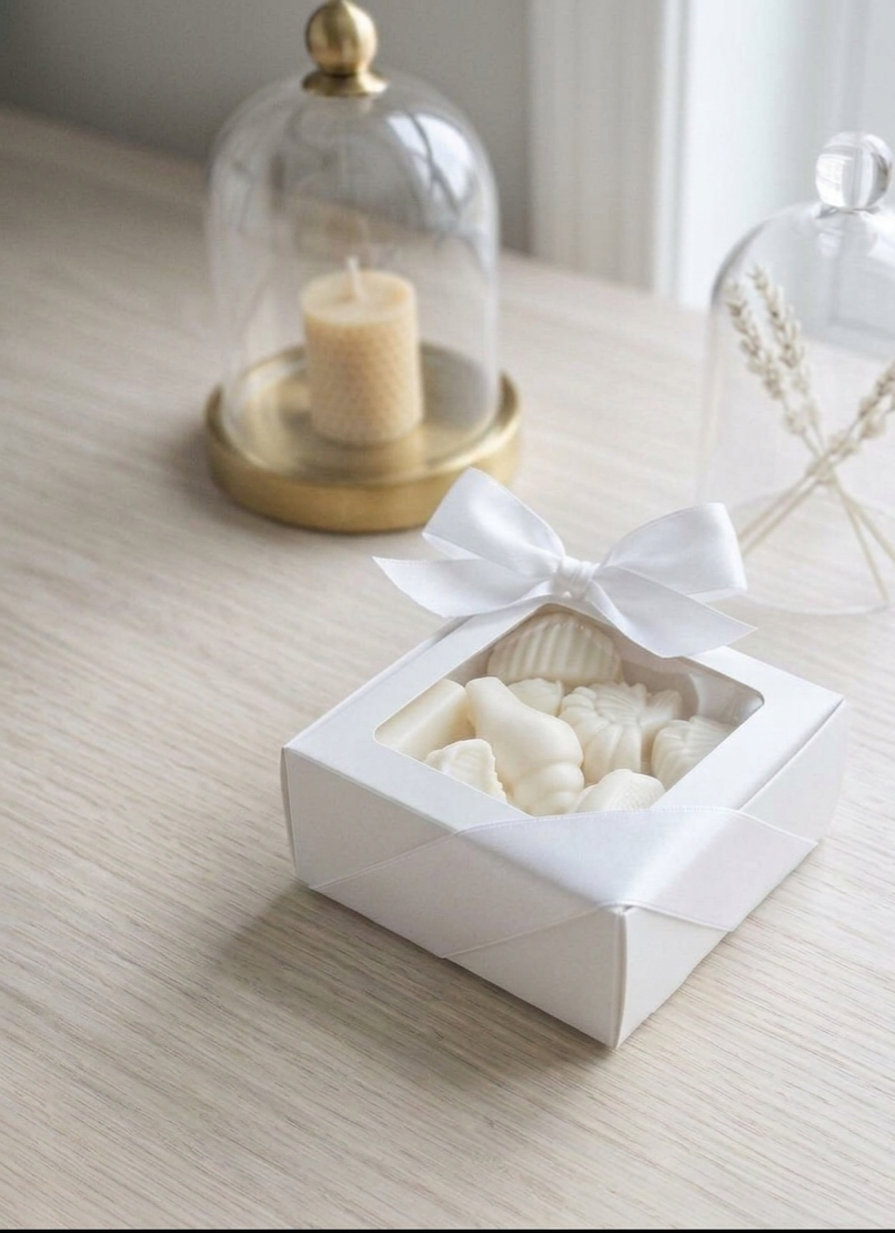 Sea Shell Beeswax Melts