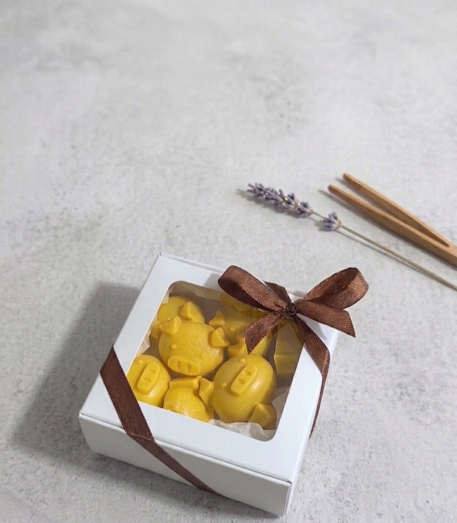 Handcrafted Piglet Wax Melts — 100g
