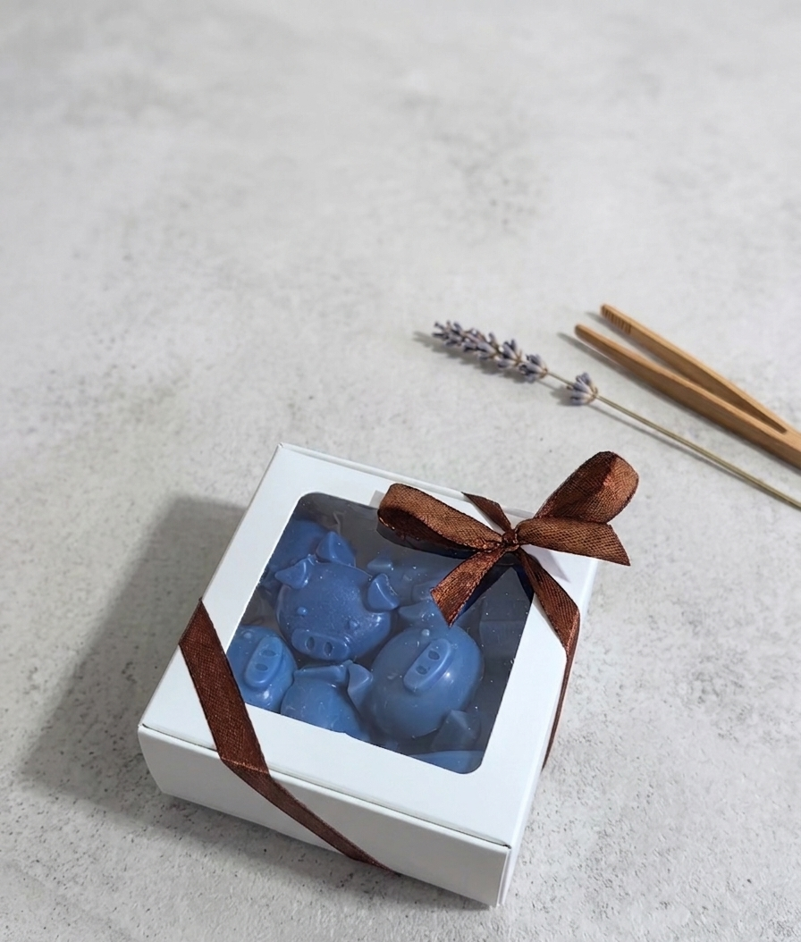 Handcrafted Piglet Wax Melts — 100g