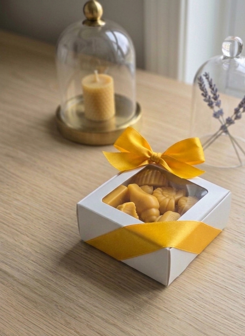 Sea Shell Beeswax Melts